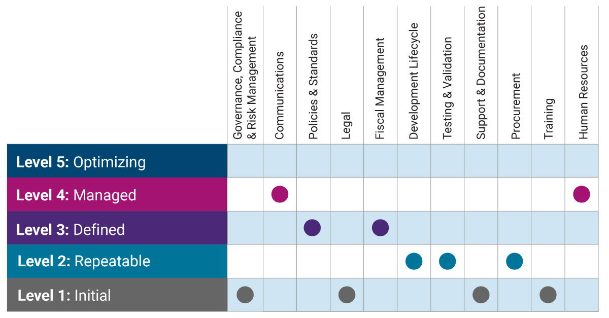 Example of a completed DAMM Assessment Scorecard with a score marked for each of the 11 dimensions at different levels, 1-5.