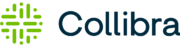 Logo of Design System Manager, Collibra